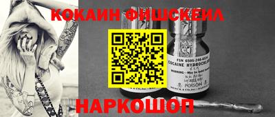 гидропоника Можга